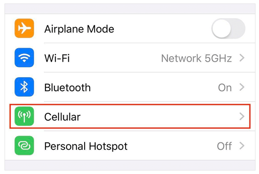 Cellular Mobile Data Settings
